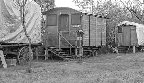 Standard Bungalow with Fan