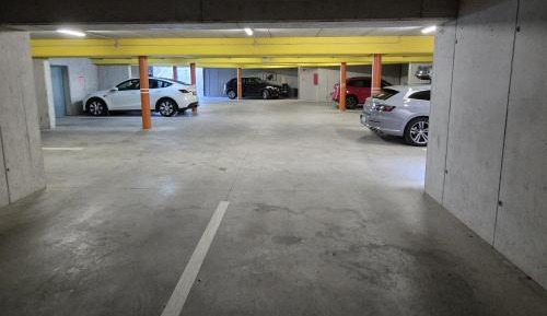 Large One-Bedroom Apartment (2 Adults)