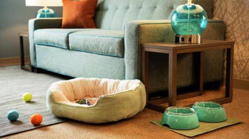 One-Bedroom King Suite