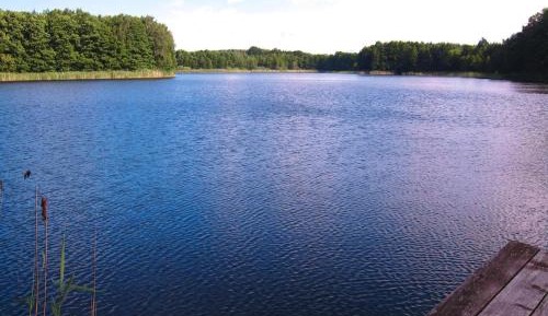 Two-Bedroom Bungalow
