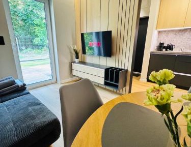 One-Bedroom Apartment with Terrace