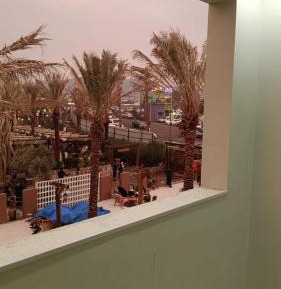 Apartment with Park View