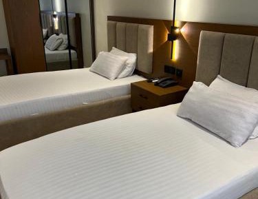 Deluxe Double or Twin Room with City View