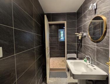 Single Bed in Mixed Dormitory Room