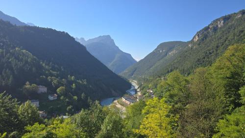 Three-Bedroom Superior Apartment