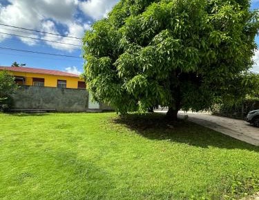 Villa with Garden View