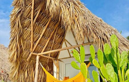 Bungalow - Beach Front