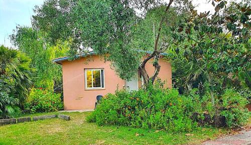 Bungalow with Garden View