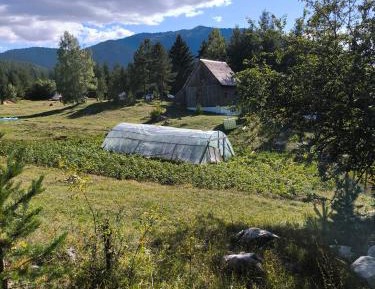 Tent