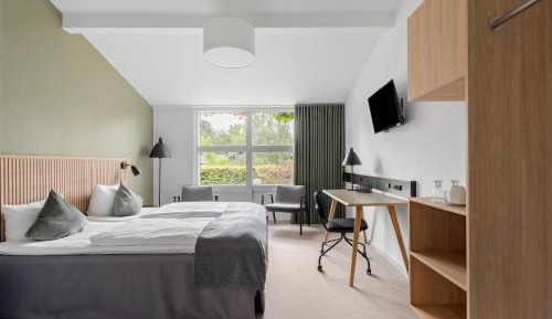 Standard Queen Room with Walk-In Shower - Non-Smoking