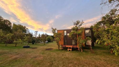Mobile Home