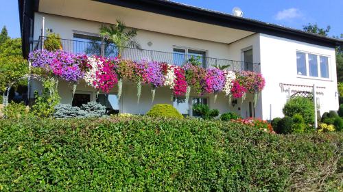 Large One-Bedroom Apartment with Terrace
