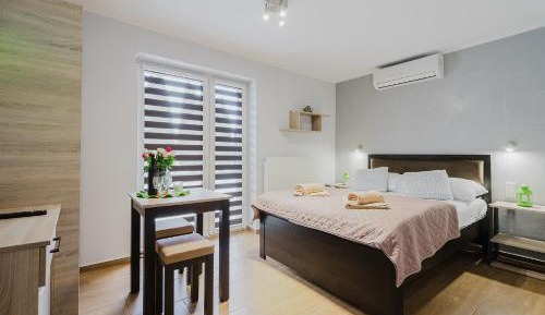 Business Double Room with Terrace