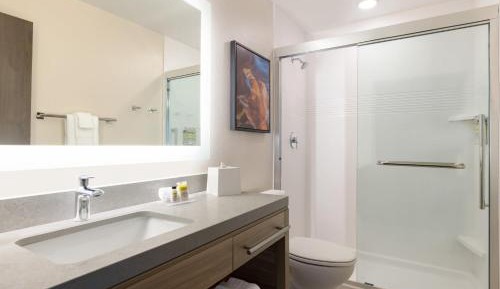 One-Bedroom King Suite