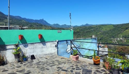 Bunk Bed in Mixed Dormitory Room
