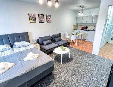 Studio Apartment with Balcony