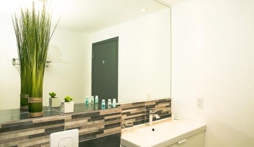 Deluxe Double or Twin Room with Mountain View