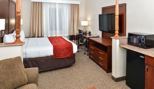 Suite, 1 King Bed with Sofabed