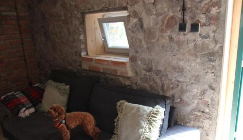 One-Bedroom Premium Apartment