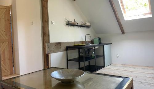 One-Bedroom Deluxe Apartment