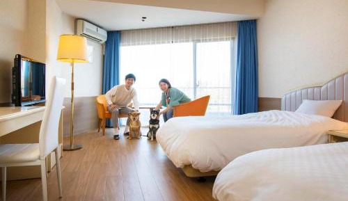 Standard Twin Room - Non-Smoking