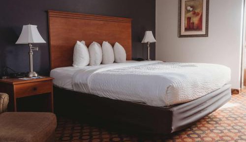 King Room with Pool View - Non-Smoking