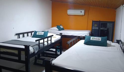 Bunk Bed in Mixed Dormitory Room