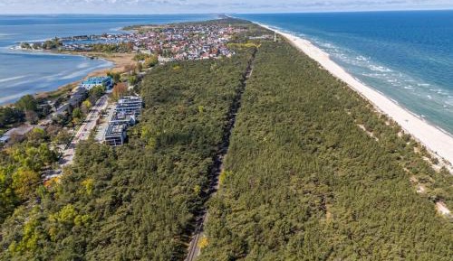 Deluxe One-Bedroom Apartment with Garden View