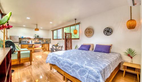 Studio Apartment with King Bed