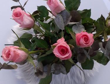 Single Room with Bathroom