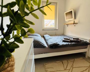 One-Bedroom Apartment with Balcony