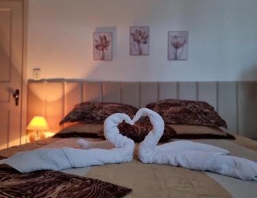 Apartment with Mountain View