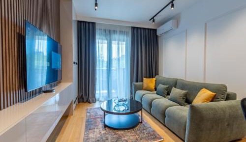 Deluxe One-Bedroom Apartment