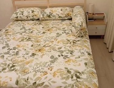 Double Room with Shared Bathroom