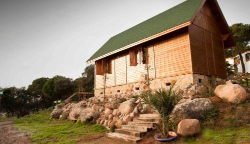 One-Bedroom Bungalow