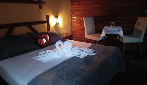 Premium Quadruple Room