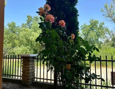 Triple Room with Terrace