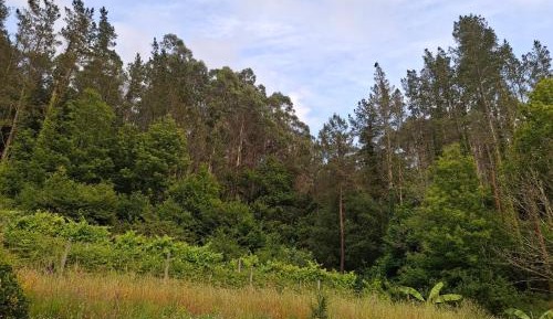 Double Room with Mountain View