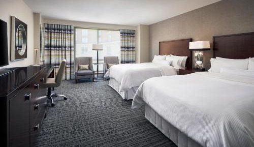 Traditional, Guest room, 2 Double