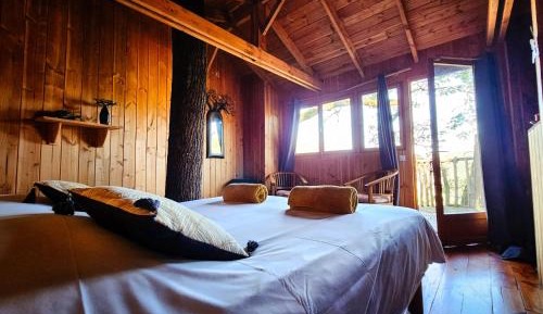 Deluxe Double Room (2 Adults + 1 Child)