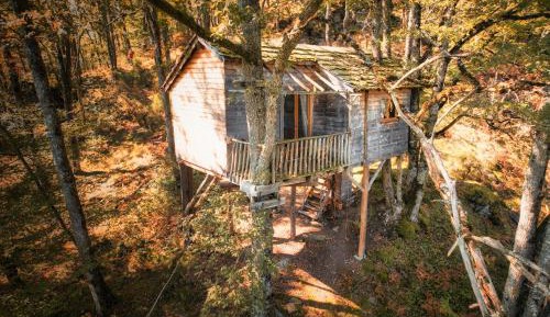 Deluxe Room (2 Adults + 1 Child)