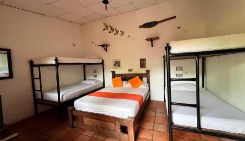 Single Bed in 6-Bed Dormitory Room