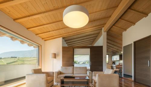 Superior One-Bedroom Apartment