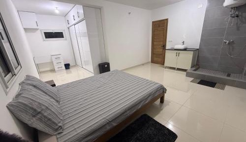 Three-Bedroom Apartment with Balcony