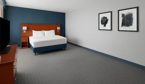 One-Bedroom Executive King Suite with Sofa Bed