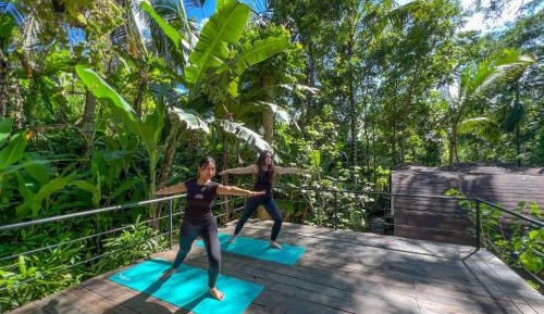 One Bedroom Villa with Hammock