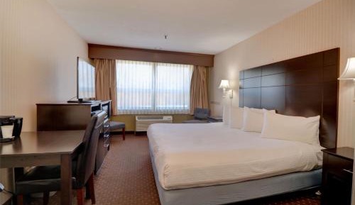 Standard King Room