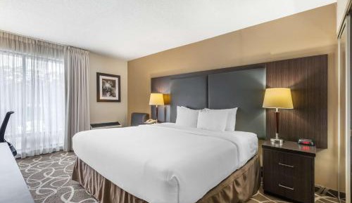 Standard King Room - Top Floor