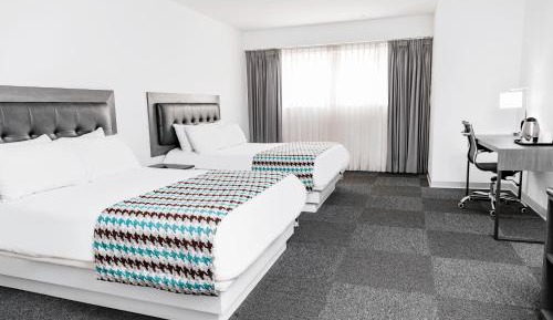 Superior Double Room with Two Double Beds - Non-Smoking