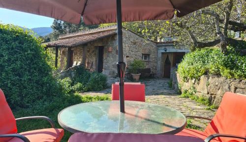 Villa with Garden View